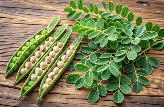 Choosing Natural Foods for Your Family's Well-Being